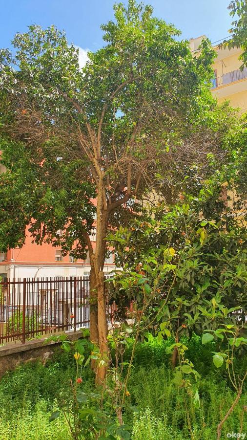 Star House - Bari Centro Apartment Екстериор снимка